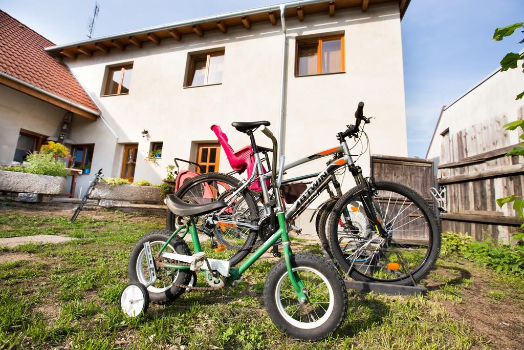 Penzion U Lipy Hotel Suchdol nad Luznici Exterior photo